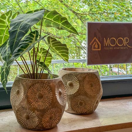 Moor Feeling Apartments 沃尔普斯韦德 外观 照片