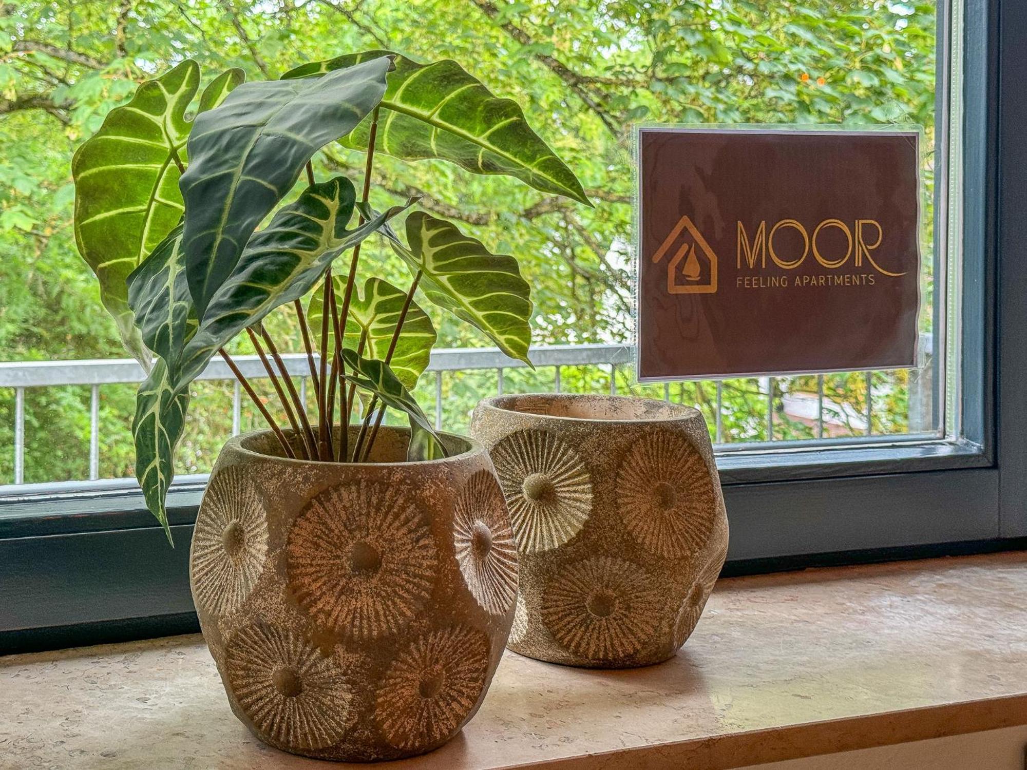 Moor Feeling Apartments 沃尔普斯韦德 外观 照片